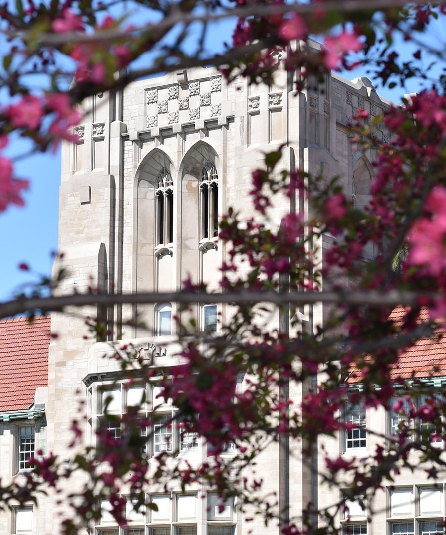 Olmsted tower zoomed in in Spring